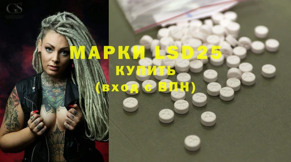 ПСИЛОЦИБИНОВЫЕ ГРИБЫ Алексин