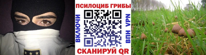 Псилоцибиновые грибы Cubensis  кракен маркетплейс  Полтавская  наркота 